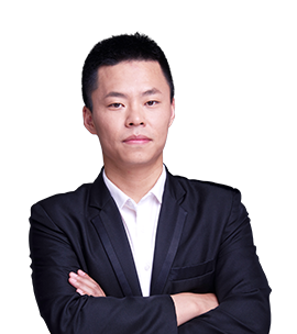 杨树形象照